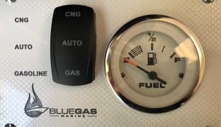 Gasoline Single Helm Control